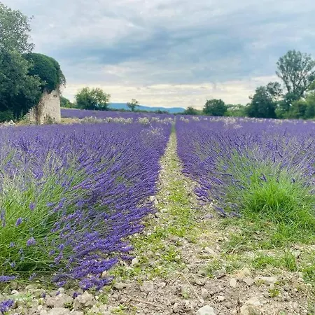 De Plain-pied Avec Jardin Et Piscine Privee